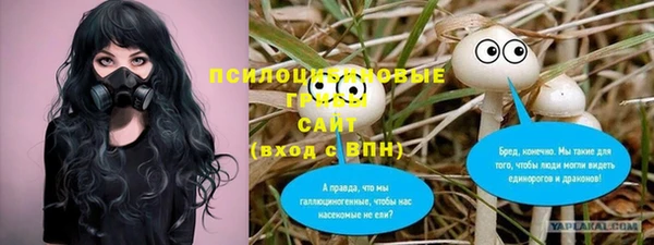 каннабис Арсеньев