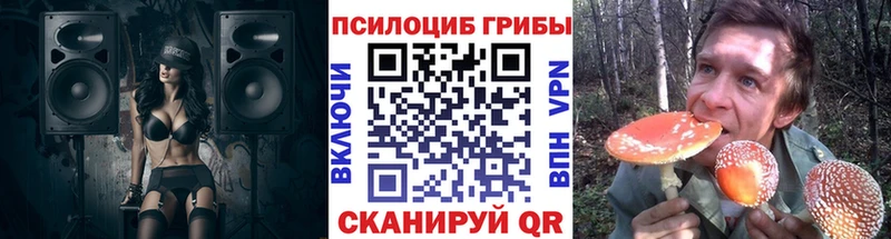 гидра tor Ряжск Псилоцибиновые грибы мухоморы купить наркоту